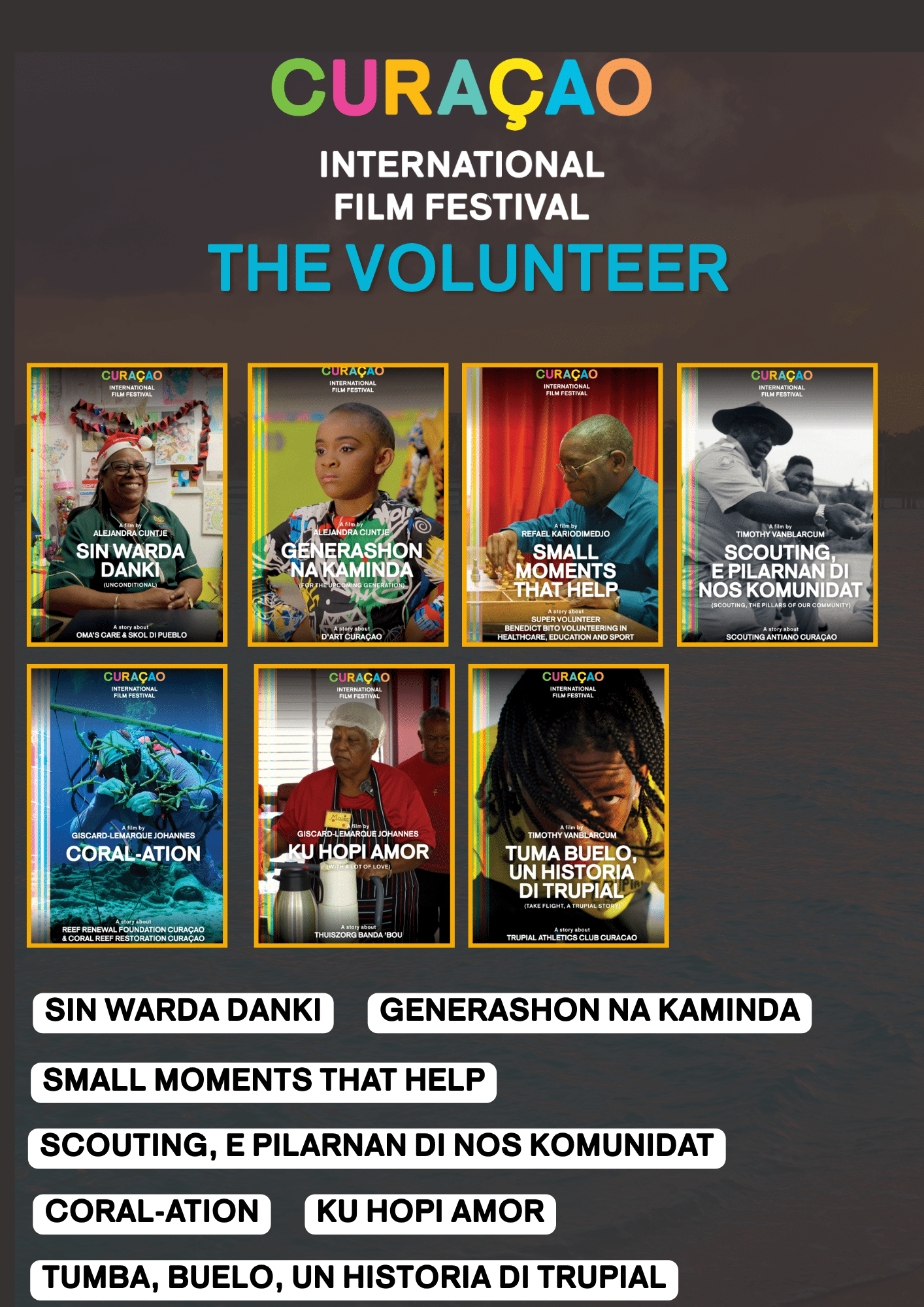 the volunteer for movies